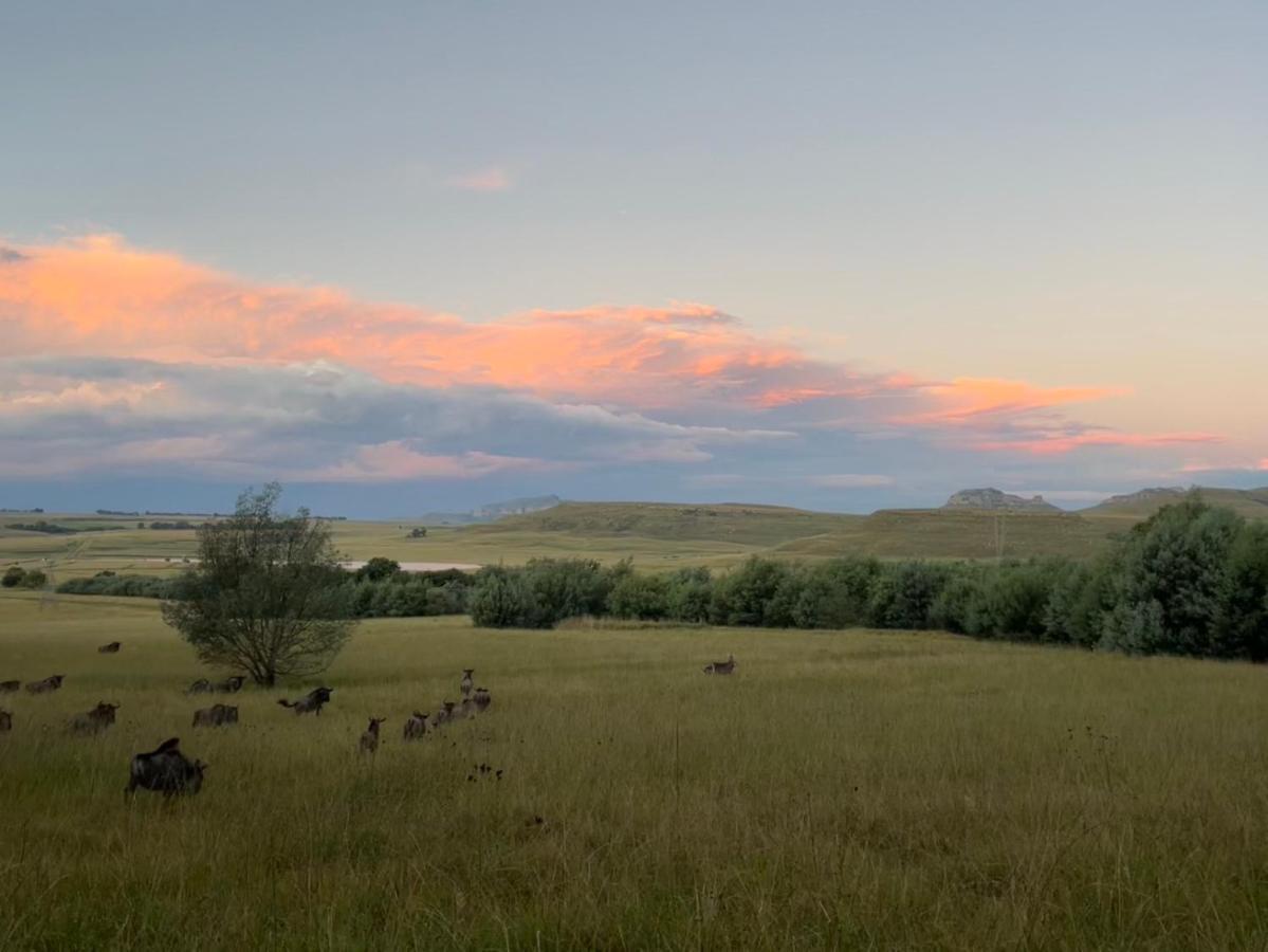Buffalo Hills Private Game Reserve Харисмит Екстериор снимка